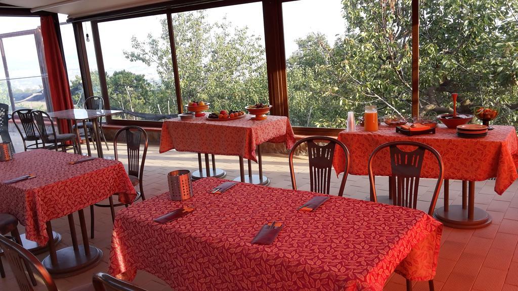 Mola Bed & Breakfast Corbara (Campania)